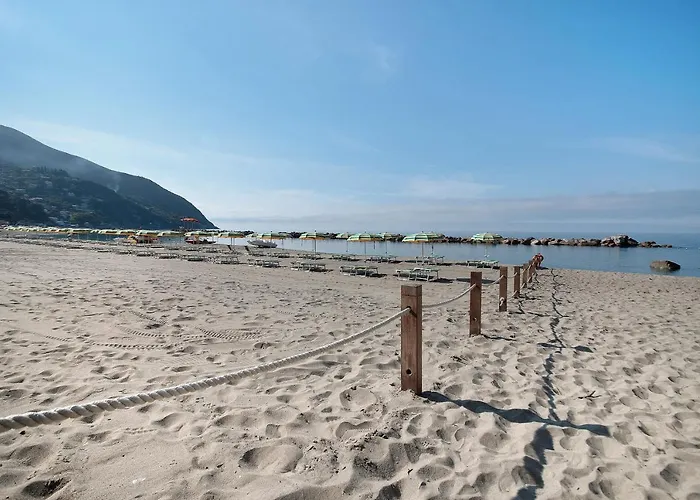 Lägenhet Bilocale 31